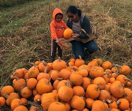 Woman and Boy Choosing a Pumpkin in Dayton, OH. Woman and Boy Choosing a Pumpkin in Dayton, OH.